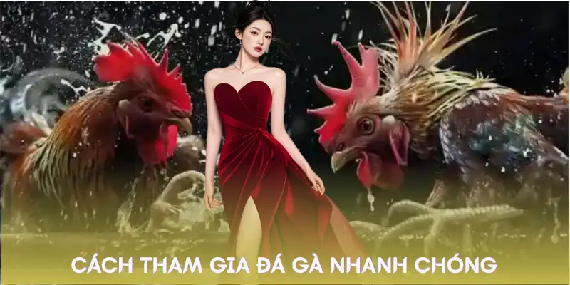 da-ga-fv88-cach-tham-gia