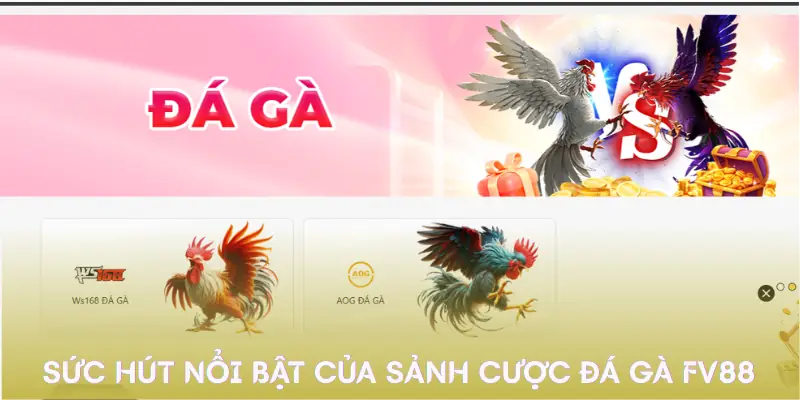 da-ga-fv88-uu-d-diem